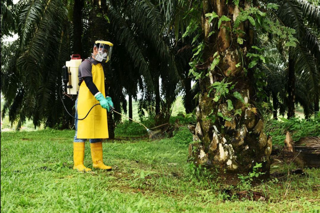 Persiapan Bahan Chemist